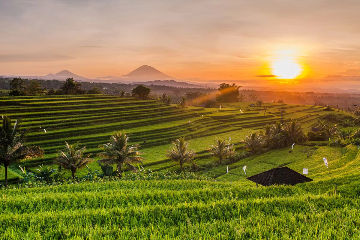 Bali Reimagined